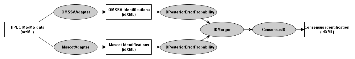 TOPP Consensus ID